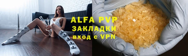 стафф Богданович