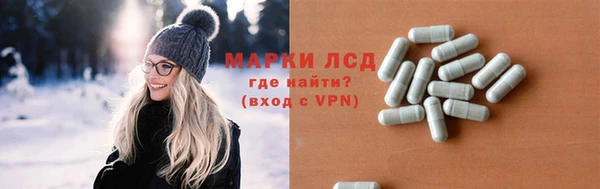 стафф Богданович