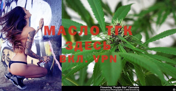 стафф Богданович